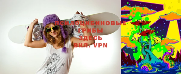 соль ск Алексеевка